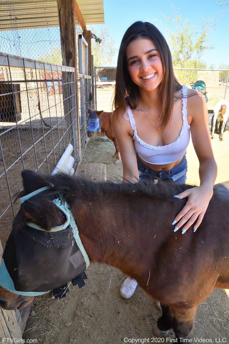 The Animal Farm 13