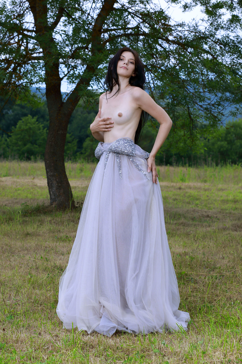 Classy Nature 01