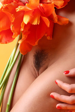 Beautiful Flower Michaela Isizzu Strips To Naked 18