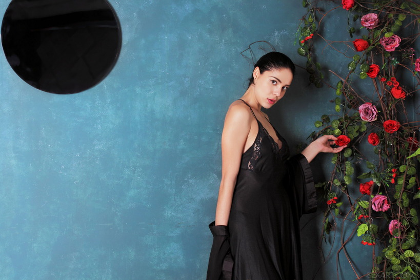 Dream by Callista B 03