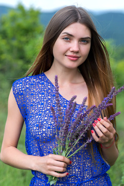 The Meadow